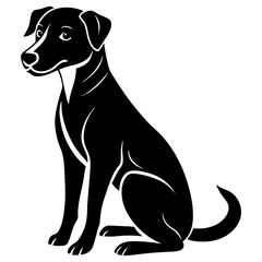 Professional Dog Sitting Services – Trusted Pet Care Near You