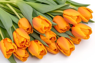 Obraz premium Orange Tulips Bouquet Closeup