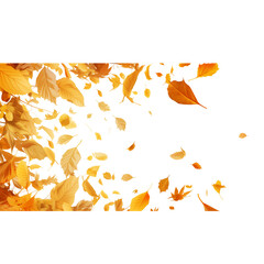 Leaves isolated on a transparent background