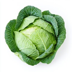 Fresh Head of Green Cabbage