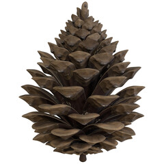pinecone tree celebration
