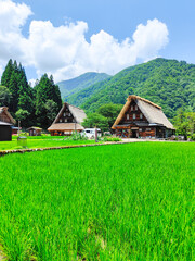 五箇山・菅沼合掌造り集落