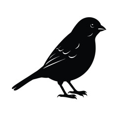 Sparrow Silhouette Vector Art | Black and White Sparrow Bird Illustration Design