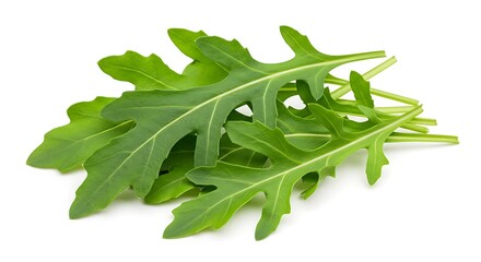 Vibrant Green Arugula: Fresh, Crisp, and Ready to Eat AI Generated