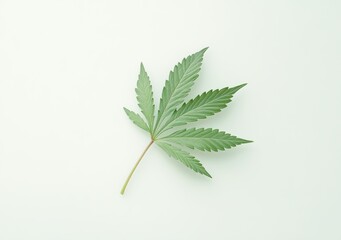 Leaf of Life: A detailed depiction of a single, vibrant green cannabis leaf, perfectly positioned on a simple backdrop, symbolizing nature's intricate beauty and potential.
