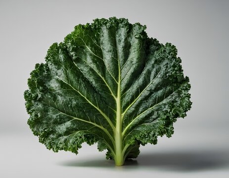 Vibrant green kale leaf on a minimalist background, showcasing its intricate texture and natural beauty.