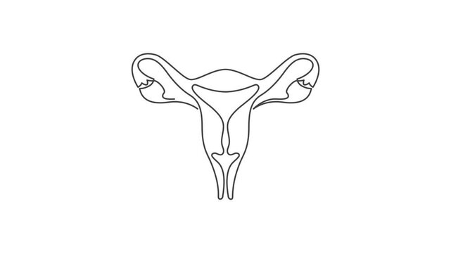 Animated outline icon. Healthcare body part collection. Female reproductive system inner organ symbol. Black color on white background with alpha channel. Simple reveal and disappear animation.