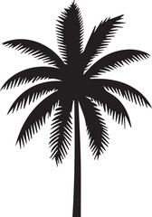 silhouette of palm tree