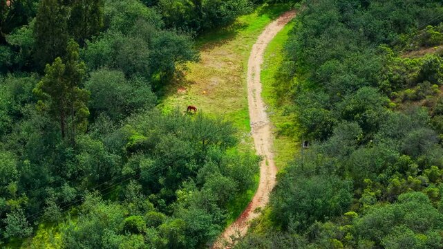 Aerial drone fly at Trekking path in Guatavita, Colombia, Altiplano green mountains with horse grazing landscape in Tomin&eacute; reservoir