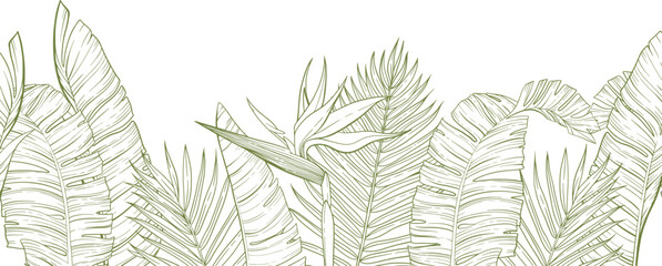 Botanical seamless border of tropical leaf with strelitzia. Vector illustraton.