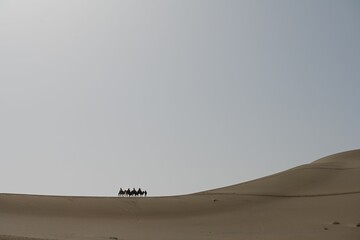 Camels Crossing a Desert Landscape