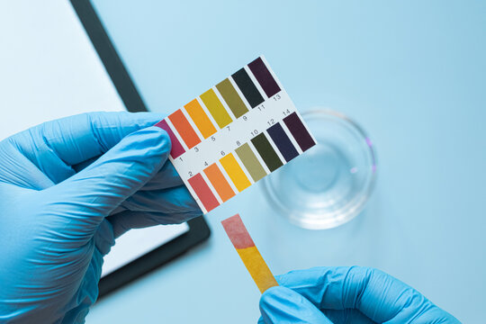 Ph Level Testing Ph Strips Images – Browse 60,065 Stock Photos, Vectors, and Video ...