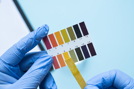 Gloved hands holding ph test strip with color scale on blue background. Neutral pH environment.
