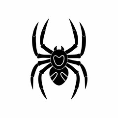 creative details Spider Icon Vector Illustration