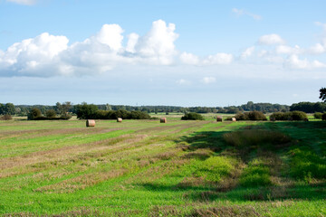 Obraz premium Rural landscape with haystacks. Haystacks are scattered on a green meadow. Blue sky with clouds. Forest in the distance. Shadow from trees. Landscape. Meadow. Beauty of nature. Summer. Sunny day. 
