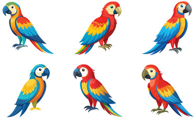 Obraz premium set of colorful macaw isolated on white background