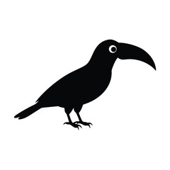 Fototapeta premium Black Silhouette Toucan with White Eye