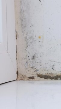 Vertical Format Video of Woman is cleaning black mold fungus growing on windowsill with sponge. Dampness problem concept. Condensation on the window