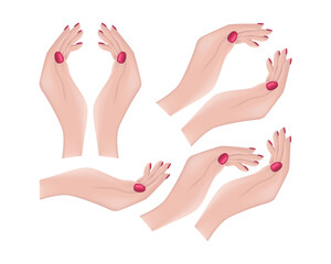 Female hands. An image of beautiful female hands. The hands of a woman with painted nails. The girl s hands. Vector illustration.