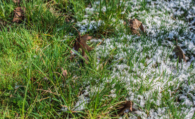 A symbolic close-up of grass split between snow and sunlight — one side covered in white frost, the other kissed by the first spring rays. A visual metaphor for transition, contrast, and the gentle ba