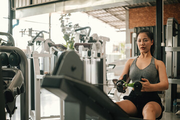 Confident woman using a seated cable row machine at the gym to strengthen her back and arms