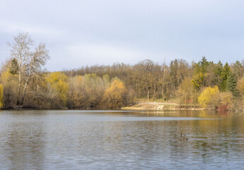 Spring landscape near the lake
