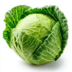 Obraz premium Close up of a fresh green cabbage head with water droplets isolated on white background