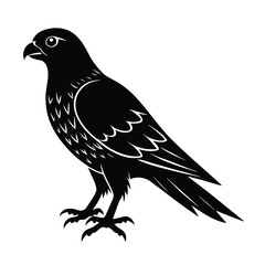 Sparrowhawk Silhouette Vector Art Design and Black and White Sparrowhawk Bird Vector Illustration
