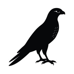 Sparrowhawk Silhouette Vector Art Design and Black and White Sparrowhawk Bird Vector Illustration
