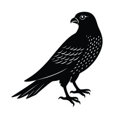 Sparrowhawk Silhouette Vector Art Design and Black and White Sparrowhawk Bird Vector Illustration