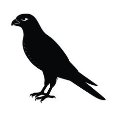 Sparrowhawk Silhouette Vector Art Design and Black and White Sparrowhawk Bird Vector Illustration