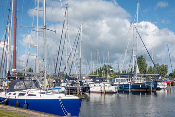 Obraz premium Sailboats moored peacefully at a vibrant marina on a sunny day