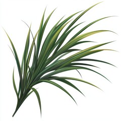 Obraz premium Vibrant Grassy Tuft