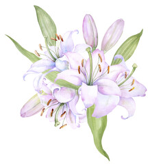 Fototapeta premium Bouquet white lilies, pink lilies, flowers and buds watercolor flower arrangement