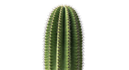 Desert Sentinel AI Generated