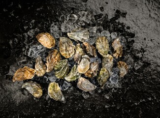 A vibrant selection of fresh oysters displayed on ice is available at a local fish market. Customers can enjoy the flavors of the sea while supporting local seafood vendors