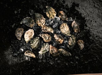 Fresh, local oysters are displayed on a bed of ice at a bustling fish market. Customers browse the...