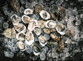 Fresh oysters sit on a bed of ice at a local fish market. Vendors prepare for the day's sales, showcasing the catch of the day in the early morning light