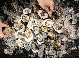 Hands are carefully sorting through a pile of fresh oysters displayed on ice at a vibrant fish market. The oysters glisten and highlight their freshness, attracting customers
