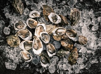 Fresh local oysters rest on a bed of ice at a vibrant fish market, highlighting the day's catch....