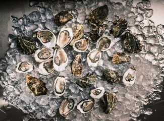 A variety of fresh oysters are arranged on a bed of crushed ice, showcasing the bounty from local...