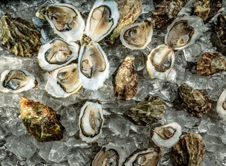 Locally sourced oysters are arranged on a bed of ice at a lively fish market, showcasing their...
