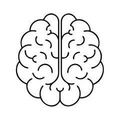Simple Line Drawing of a Human Brain Showing its Two Hemispheres and Convoluted Surface