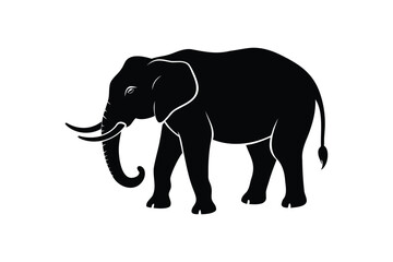 Obraz premium Elephant silhouette on white background