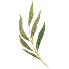 Wildflowers Leaves Invitation Plant Watercolor