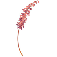 Wildflowers Leaves Invitation Plant Watercolor