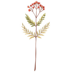 Wildflowers Plant Leaves Blossom Watercolor