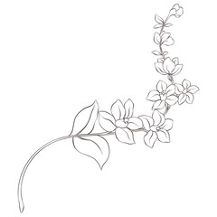 Obraz premium Wildflowers Lineart Outline Hand Drawn