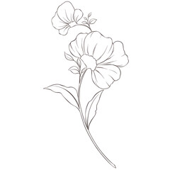 Wildflowers Lineart Outline Hand Drawn