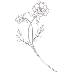 Wildflowers Lineart Outline Hand Drawn